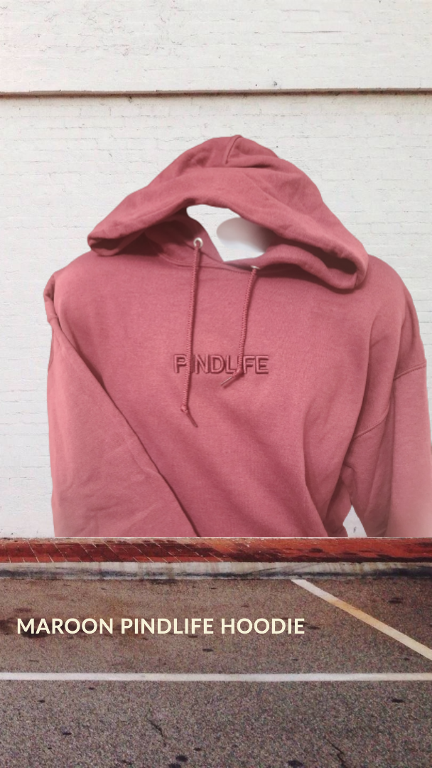 PindLife Heritage Hoodie, Embroidered Punjabi Roots Sweatshirt design, alternate view