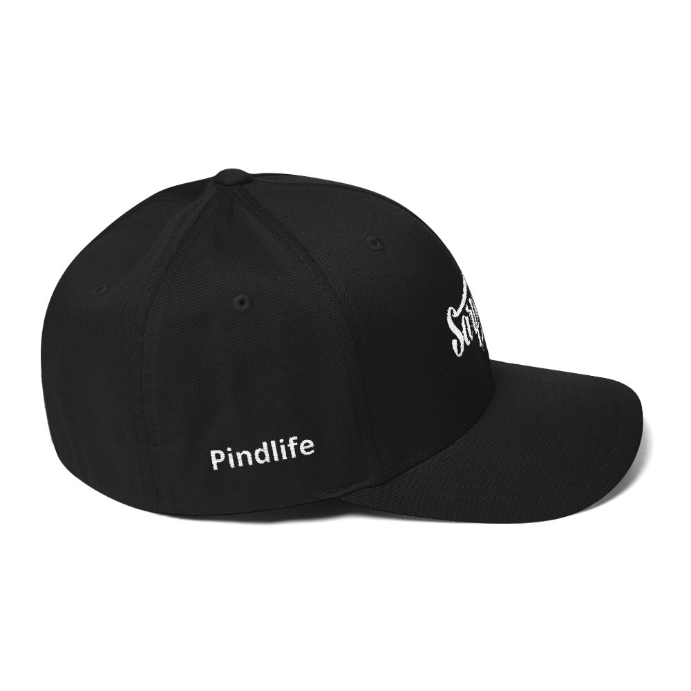 PindLife Sarpanch Twill Cap, Punjabi Dad Hat design, alternate view