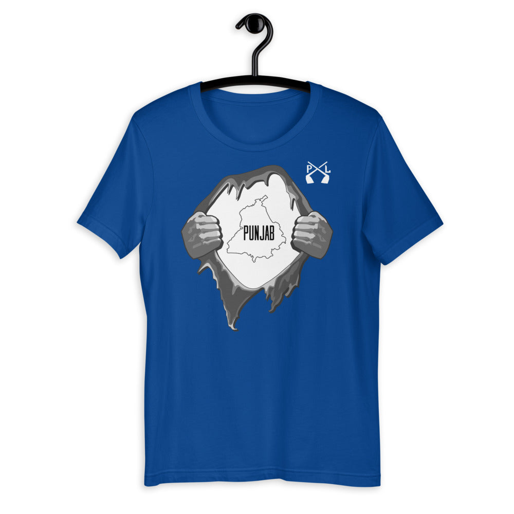 PindLife Punjab T-Shirt, Distressed Punjabi Pride Tee design, alternate view