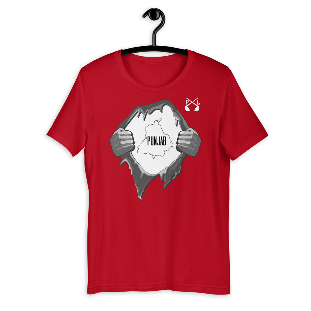 PindLife Punjab T-Shirt, Distressed Punjabi Pride Tee design, alternate view