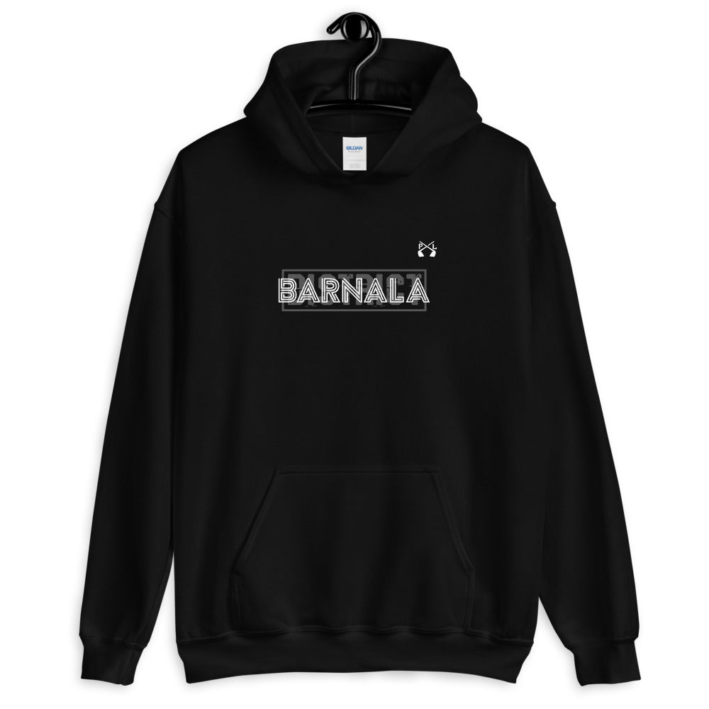PindLife District Barnala Hoodie, Malwa Punjab design, alternate view