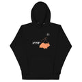 PindLife Malwa Hoodie (Punjabi Script) in black, front view, Punjab Region